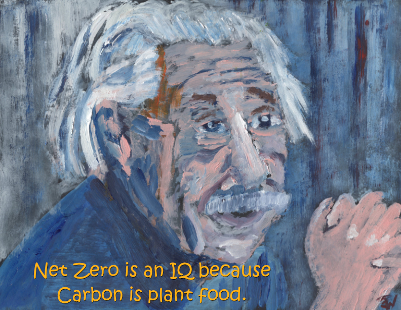 Albert Einstein Portrait by WTW