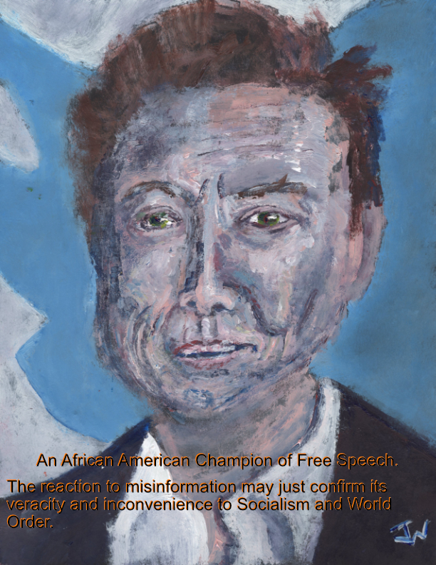 Elon Musk Portrait by WTW