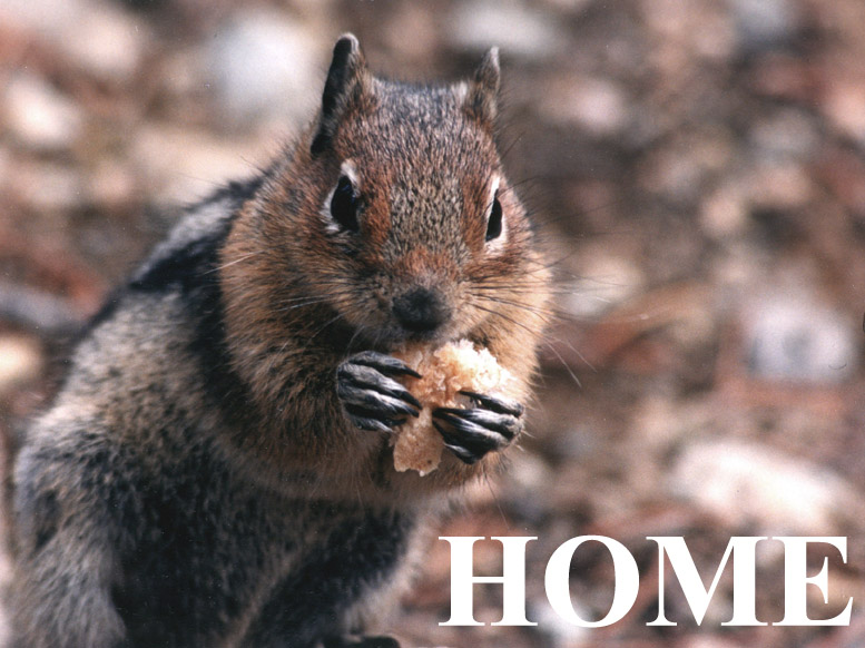 Art Galley-My kid can paint that! Art Galley-My kid can paint that!