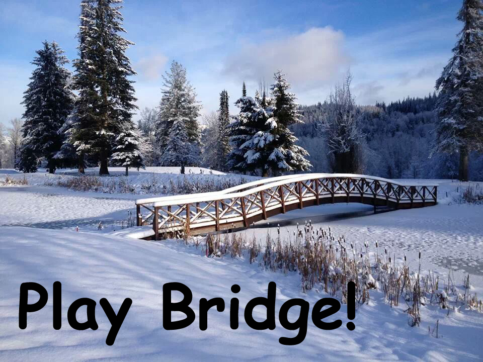 Everybody should play bridge!