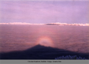 A Circular Rainbow is as hard to capture as a pot of gold