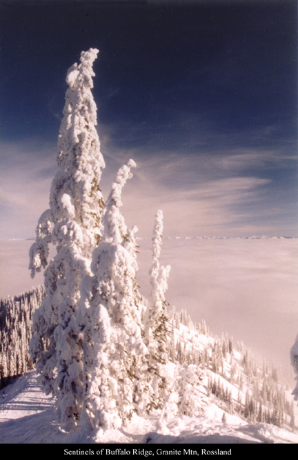 Snow sculpture at its best