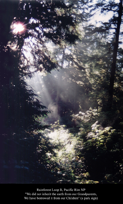 Pacific Rim National Park