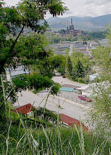 Trail and Steps View