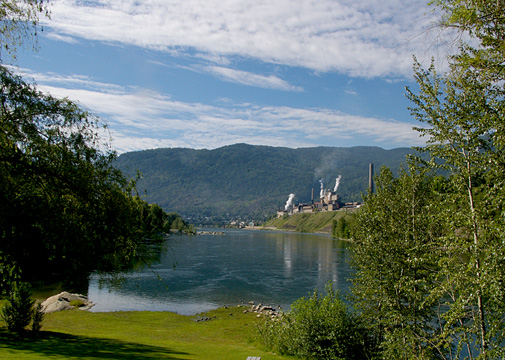 Trail From Beyond Gyro Park