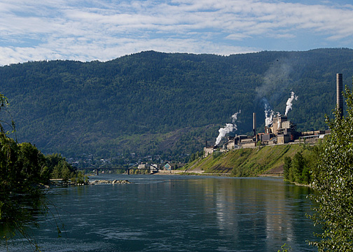 Trail From Beyond Gyro Park