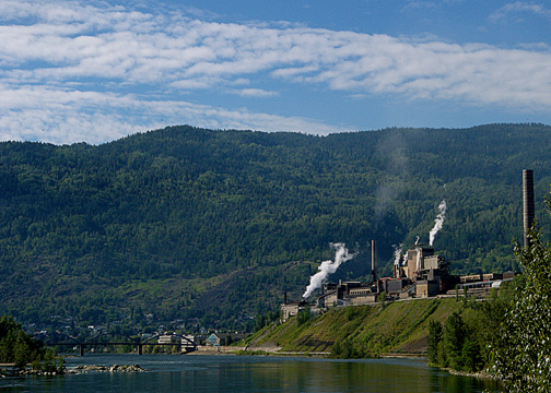 Trail From Beyond Gyro Park