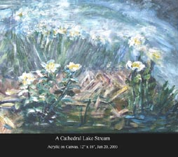 Stream of the Cathedral Lakes, BC