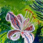 Lily, Acrylic, January 2013
