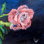 Rose, Acrylic, January 2013