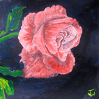 Rose, Acrylic, January 2013