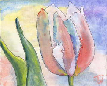 Tulip, Acrylic in Watercolour Style, January 27, 2013